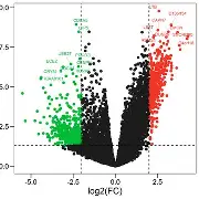 包含?R们y的词条
